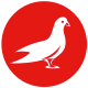 Schädlingsbekämpfung Groß